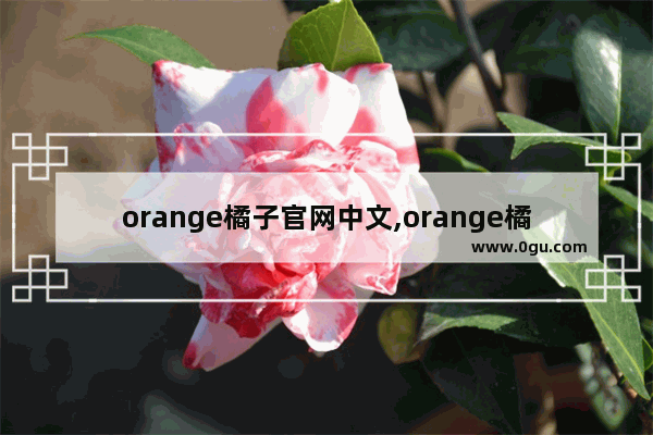 orange橘子官网中文,orange橘子官网下载