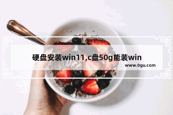 硬盘安装win11,c盘50g能装win10吗