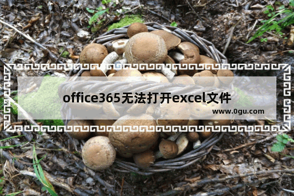 office365无法打开excel文件,word365打不开文件