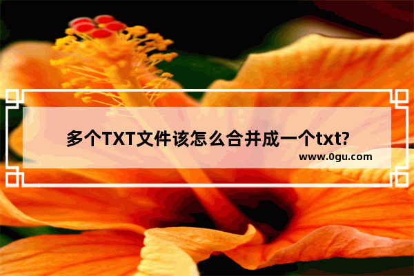 多个TXT文件该怎么合并成一个txt?