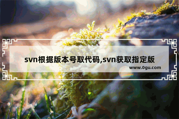 svn根据版本号取代码,svn获取指定版本代码