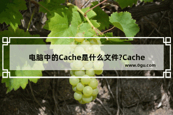 电脑中的Cache是什么文件?Cache的删除办法