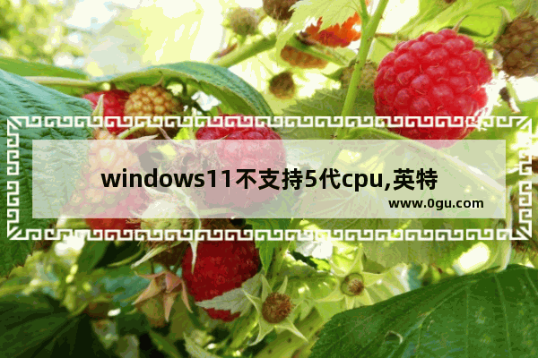 windows11不支持5代cpu,英特尔六代不适用win11