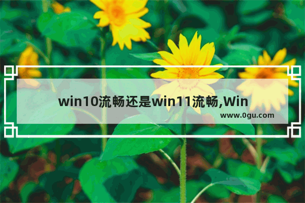 win10流畅还是win11流畅,Windows11流畅度