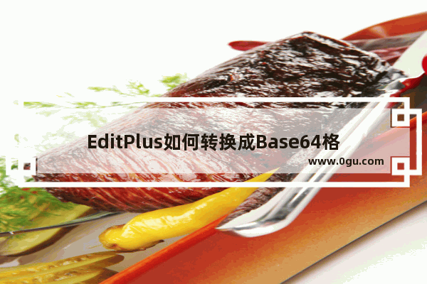 EditPlus如何转换成Base64格式