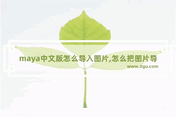 maya中文版怎么导入图片,怎么把图片导入maya做参考