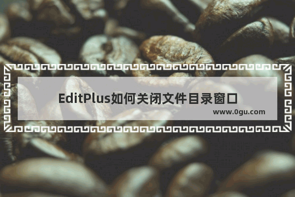 EditPlus如何关闭文件目录窗口