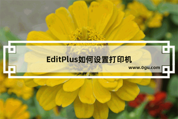 EditPlus如何设置打印机