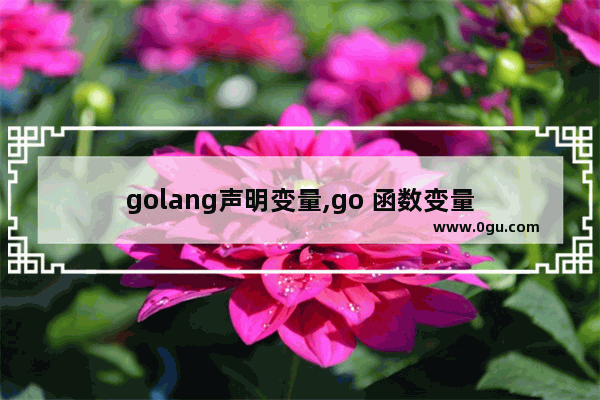 golang声明变量,go 函数变量