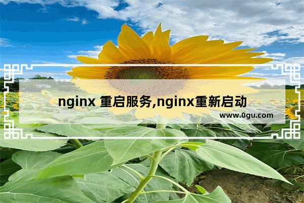 nginx 重启服务,nginx重新启动