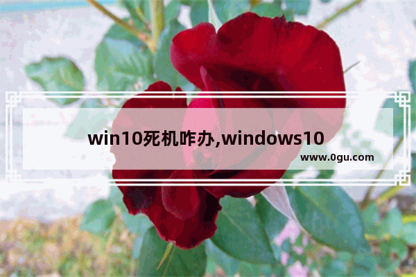 win10死机咋办,windows10 死机