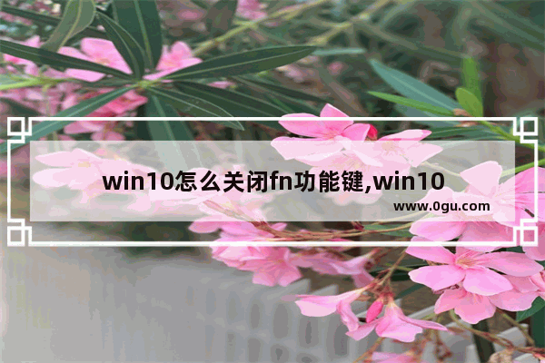 win10怎么关闭fn功能键,win10打开fn热键