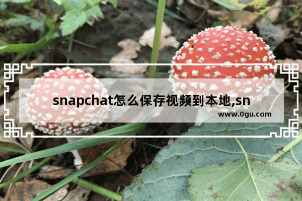 snapchat怎么保存视频到本地,snapchat怎么保存视频到手机