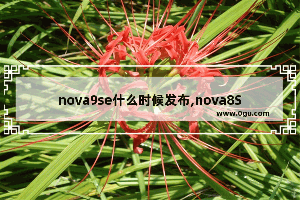 nova9se什么时候发布,nova8SE预计什么时候上市