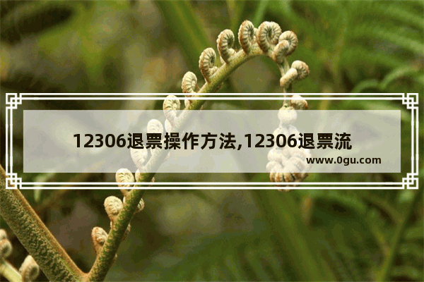 12306退票操作方法,12306退票流程12306退票流程