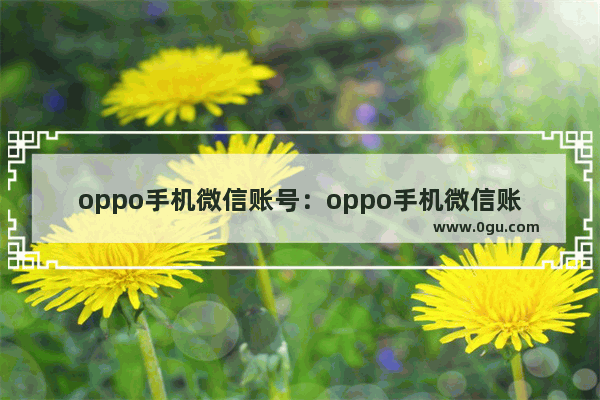 oppo手机微信账号：oppo手机微信账号怎么改