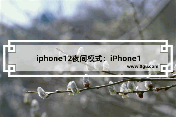 iphone12夜间模式：iPhone12夜间模式最长几秒