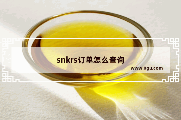 snkrs订单怎么查询