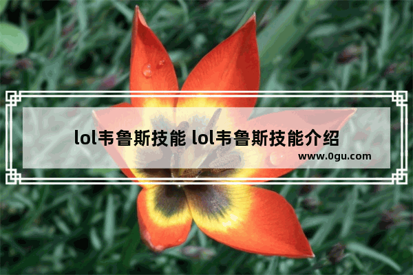 lol韦鲁斯技能 lol韦鲁斯技能介绍