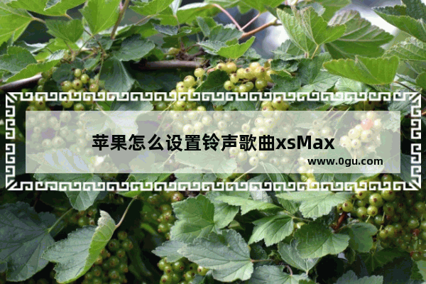 苹果怎么设置铃声歌曲xsMax