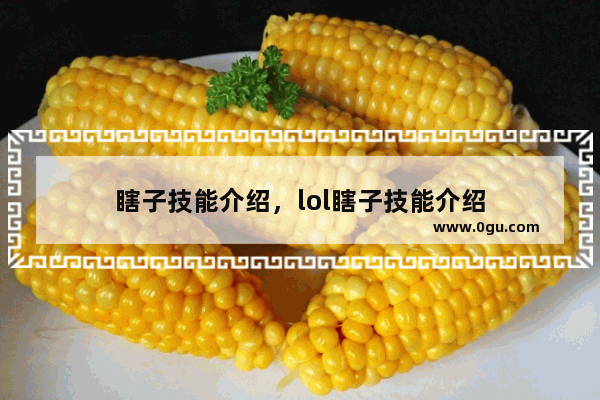 瞎子技能介绍，lol瞎子技能介绍