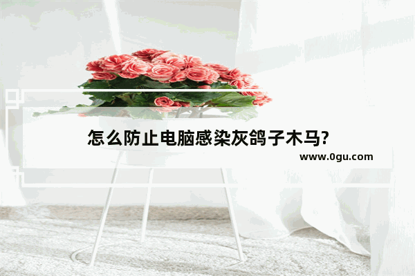 怎么防止电脑感染灰鸽子木马?