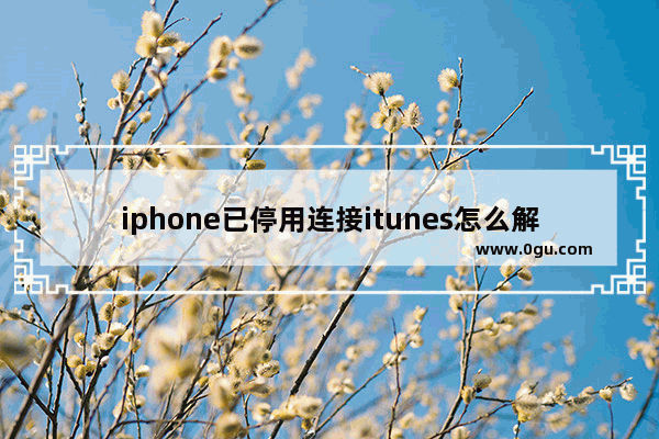 iphone已停用连接itunes怎么解锁教程 iphone已停用连接itunes怎么解锁教程7