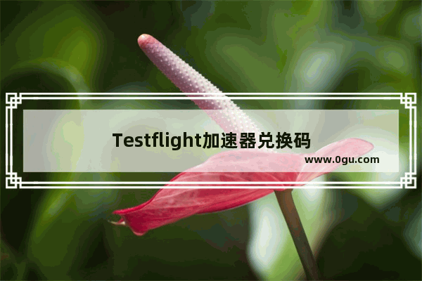 Testflight加速器兑换码