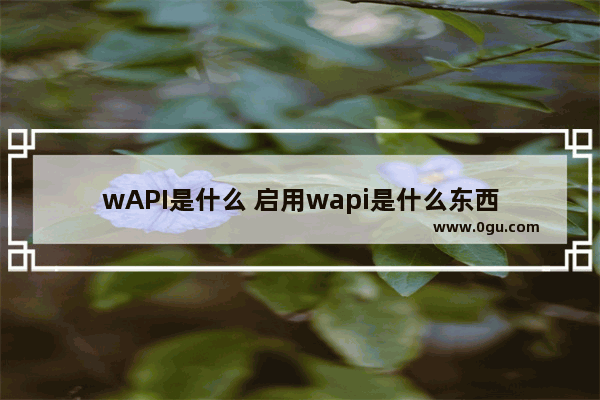 wAPI是什么 启用wapi是什么东西