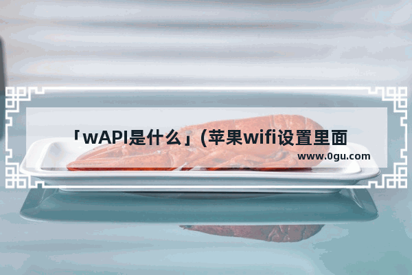 「wAPI是什么」(苹果wifi设置里面启用WAPI是什么)