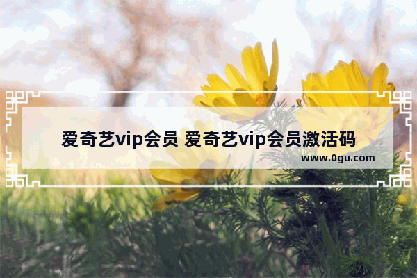 爱奇艺vip会员 爱奇艺vip会员激活码有哪些