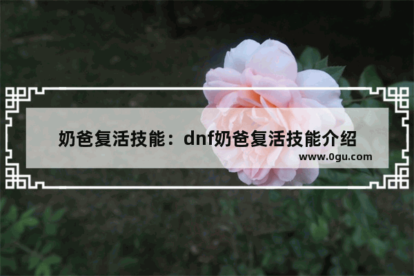 奶爸复活技能：dnf奶爸复活技能介绍