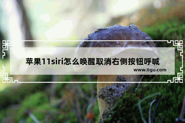 苹果11siri怎么唤醒取消右侧按钮呼喊