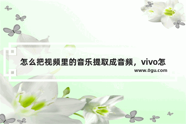 怎么把视频里的音乐提取成音频，vivo怎么把视频里的音乐提取成音频