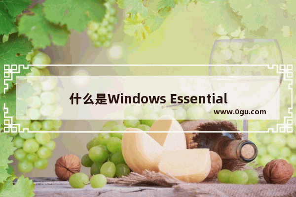 什么是Windows Essentials？如何在电脑中使用Windows Essentials