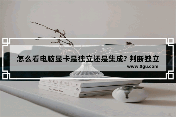 怎么看电脑显卡是独立还是集成? 判断独立显卡集成显卡的三种解决办法