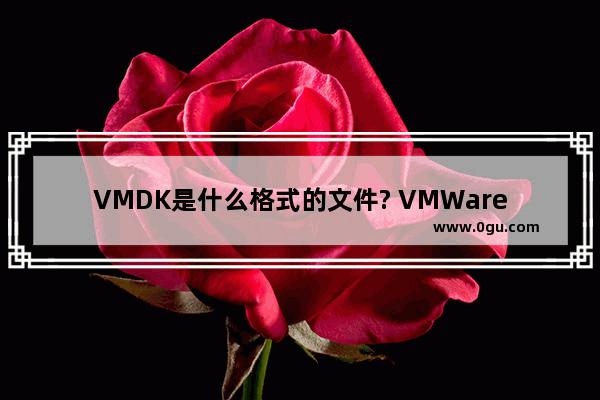 VMDK是什么格式的文件? VMWare导入WMDK文件并解析的方法