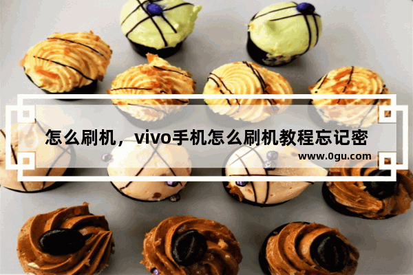 怎么刷机，vivo手机怎么刷机教程忘记密码