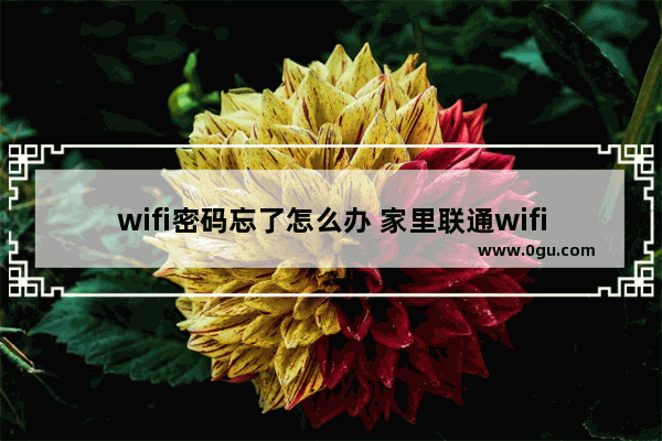 wifi密码忘了怎么办 家里联通wifi密码忘了怎么办