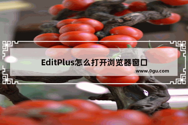 EditPlus怎么打开浏览器窗口