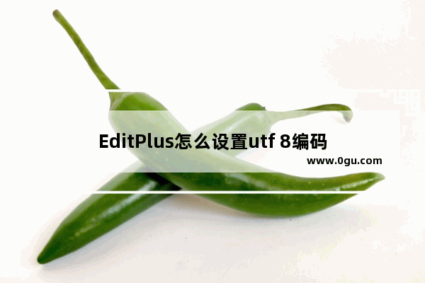 EditPlus怎么设置utf 8编码