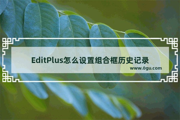 EditPlus怎么设置组合框历史记录