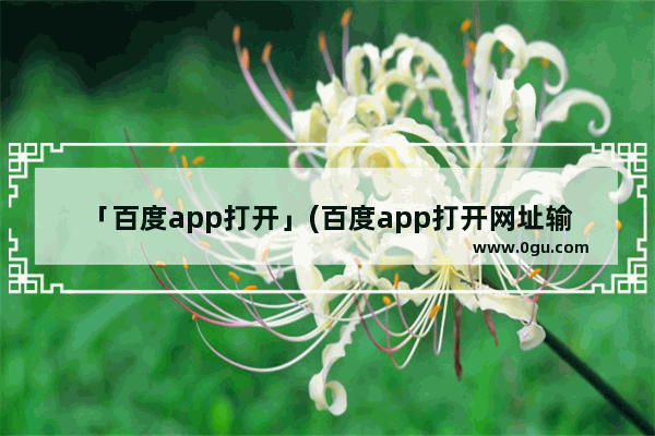 「百度app打开」(百度app打开网址输入栏)