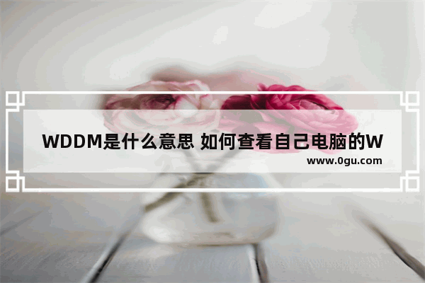 WDDM是什么意思 如何查看自己电脑的WDDM版本号？