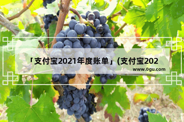 「支付宝2021年度账单」(支付宝2021年度账单哪里看)