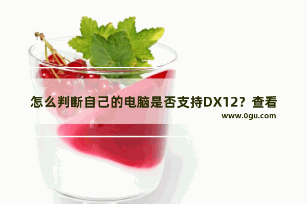 怎么判断自己的电脑是否支持DX12？查看电脑支不支持DirectX12方法图解