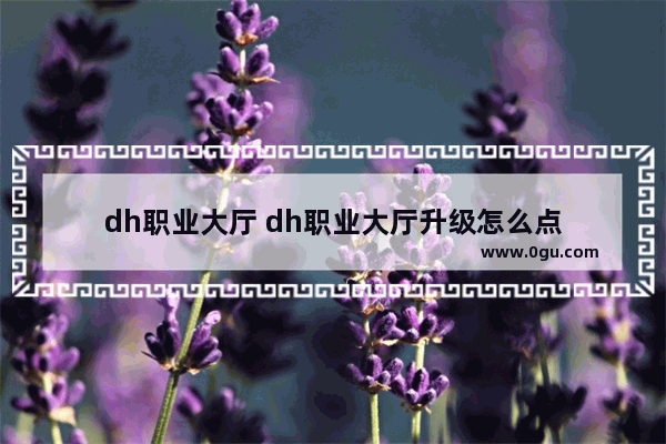 dh职业大厅 dh职业大厅升级怎么点