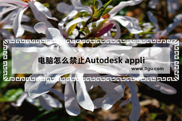 电脑怎么禁止Autodesk application manager自动启动?