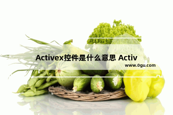 Activex控件是什么意思 Activex控件被阻止现象的解决方法图解