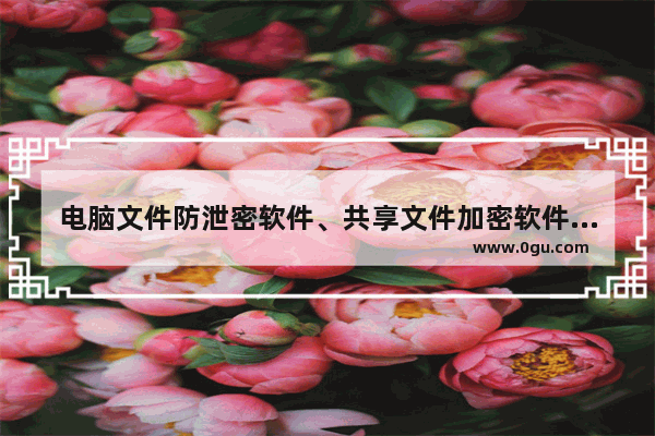 电脑文件防泄密软件、共享文件加密软件排行、最好的文件加密软件是哪个？